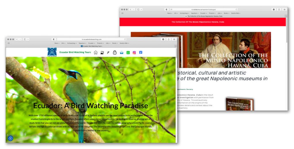 ejemplos de sitios de web